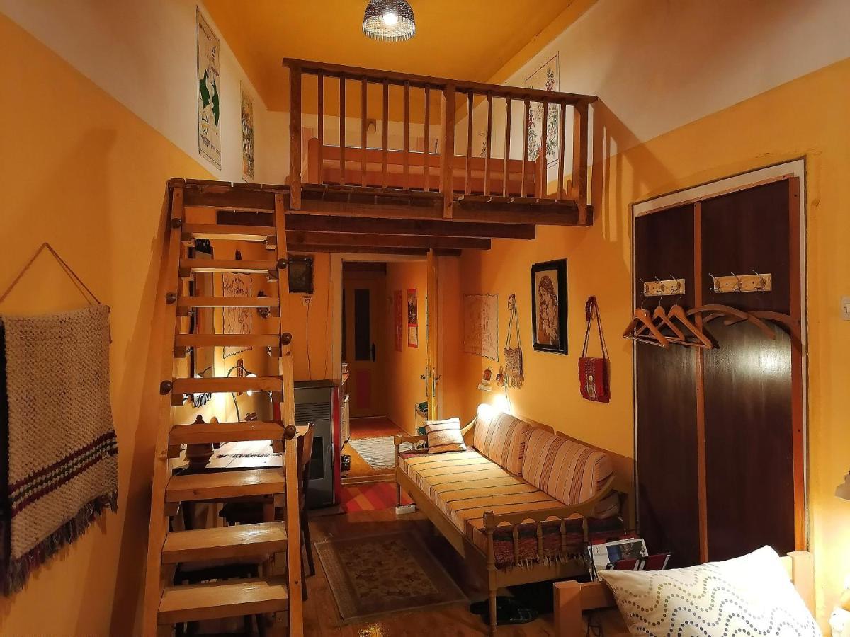 Base For Adventurers - Urban Guerrilla Hotell Negotin Eksteriør bilde